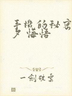 手机的秘密 七夕 悔悟