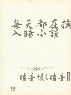 每天都在挨龠中入睡小说