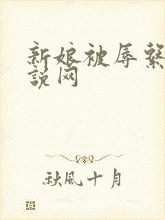 新娘被辱系列小说网