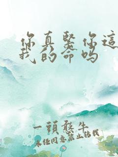 你真紧你这是要我的命吗