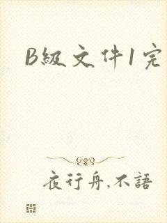 B级文件1完整