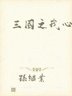 三国之我心狂想