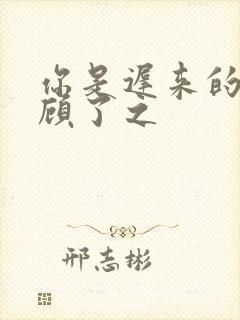 你是迟来的欢喜顾了之