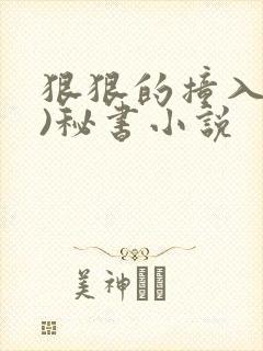 狠狠的撞入(h)秘书小说