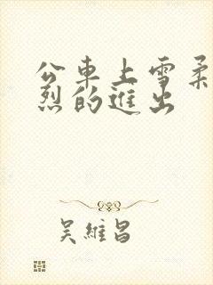 公车上雪柔被猛烈的进出