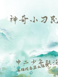 神奇小刁民