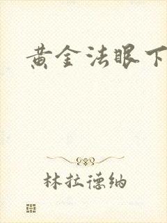 黄金法眼下载