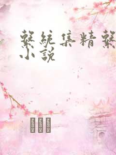 系统集精系统 小说