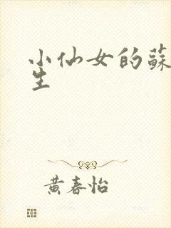 小仙女的苏撩先生