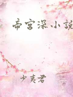帝宫深小说
