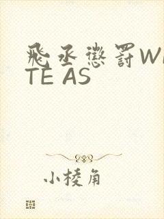 飞丞惩罚WRITE AS