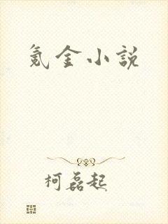 氪金小说