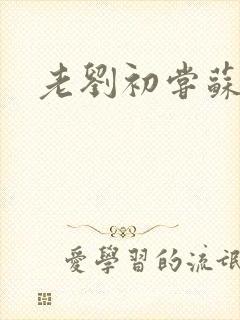 老刘初尝苏荷媳