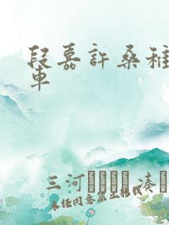 段嘉许桑稚浴室车