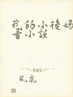 我的小后妈免费看小说