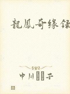龙凤奇缘录