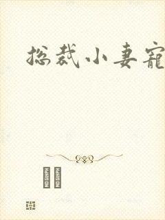 总裁小妻宠上天