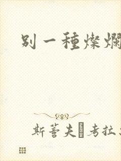 别一种灿烂生活