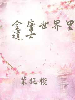 金庸世界里的小道士