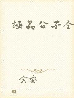 极品公子全集