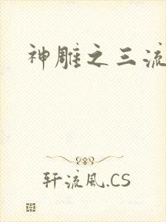神雕之三流
