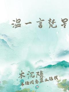 温一言梵星小说