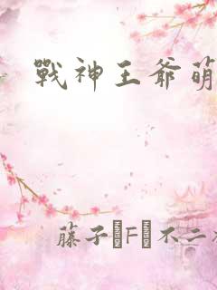 战神王爷萌虎妃