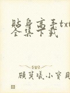 贴身高手txt全集下载