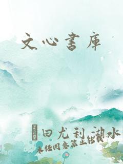 文心书库