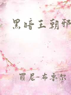 黑暗王朝邪恶版