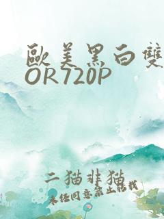 欧美黑白双插OOR720P