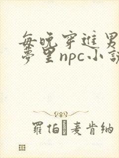 每晚穿进男神的梦里npc小说