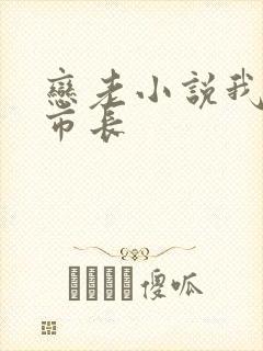 恋老小说我和老市长