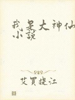 我是大神仙时江小说