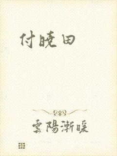 付晓田