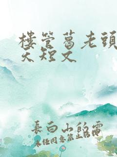 楼管葛老头的春天短文