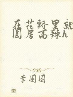 在花轿里就开始圆房高辣h