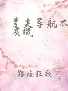 农夫导航不要打灰机