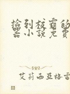 捡到校霸的遥控器小说免费阅读无弹窗