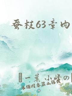 蚕枝63章肉