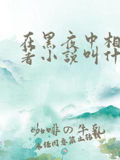 在黑夜中相拥原著小说叫什么