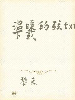 温暖的弦txt下载