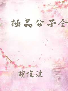 极品公子全集