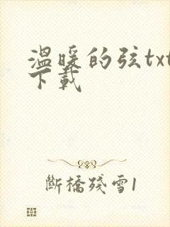 温暖的弦txt下载