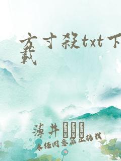 方寸杀txt下载
