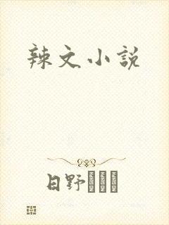 辣文小说