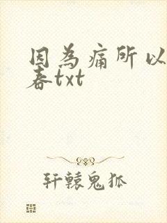 因为痛所以叫青春txt