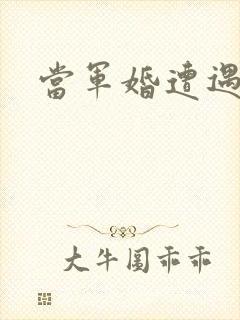 当军婚遭遇爱情