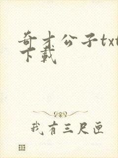 奇才公子txt下载