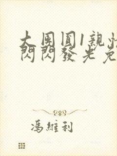 大团圆1亲情会闪闪发光免费